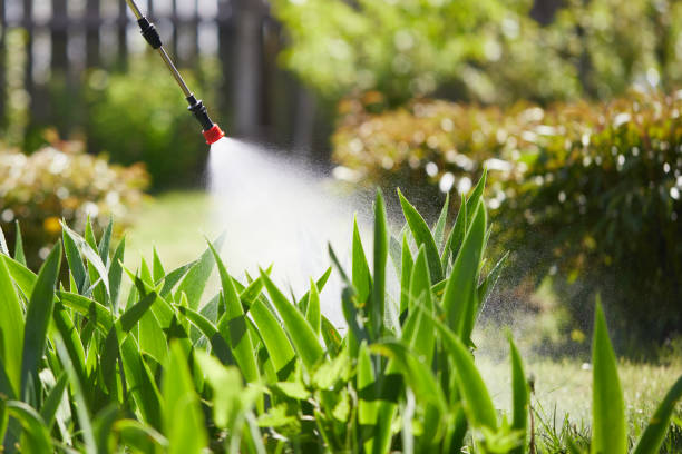 24/7 Emergency Mosquito Control experts in Landing, NJ